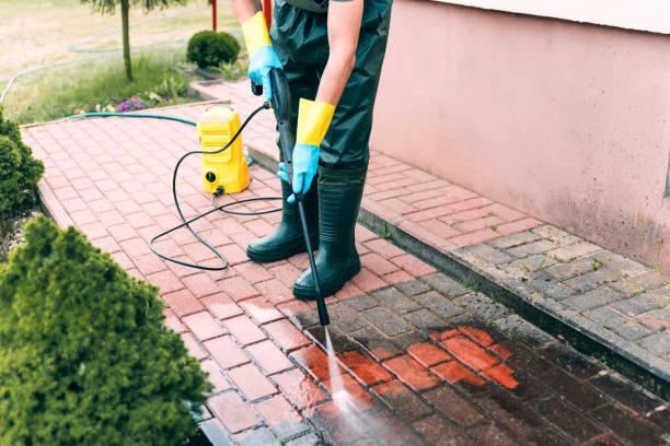 Best Deck Cleaning Services  in Pecan Plantation, TX